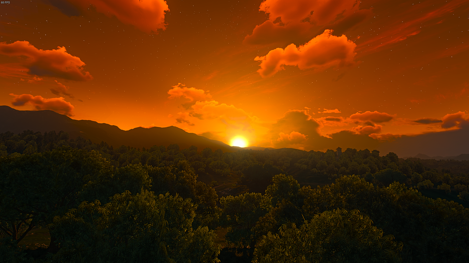 A snapshot from my world
